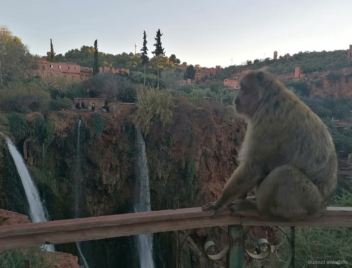 Piccolo gruppo in cammino sul sentiero verso le Cascate di Ouzoud da Marrakech