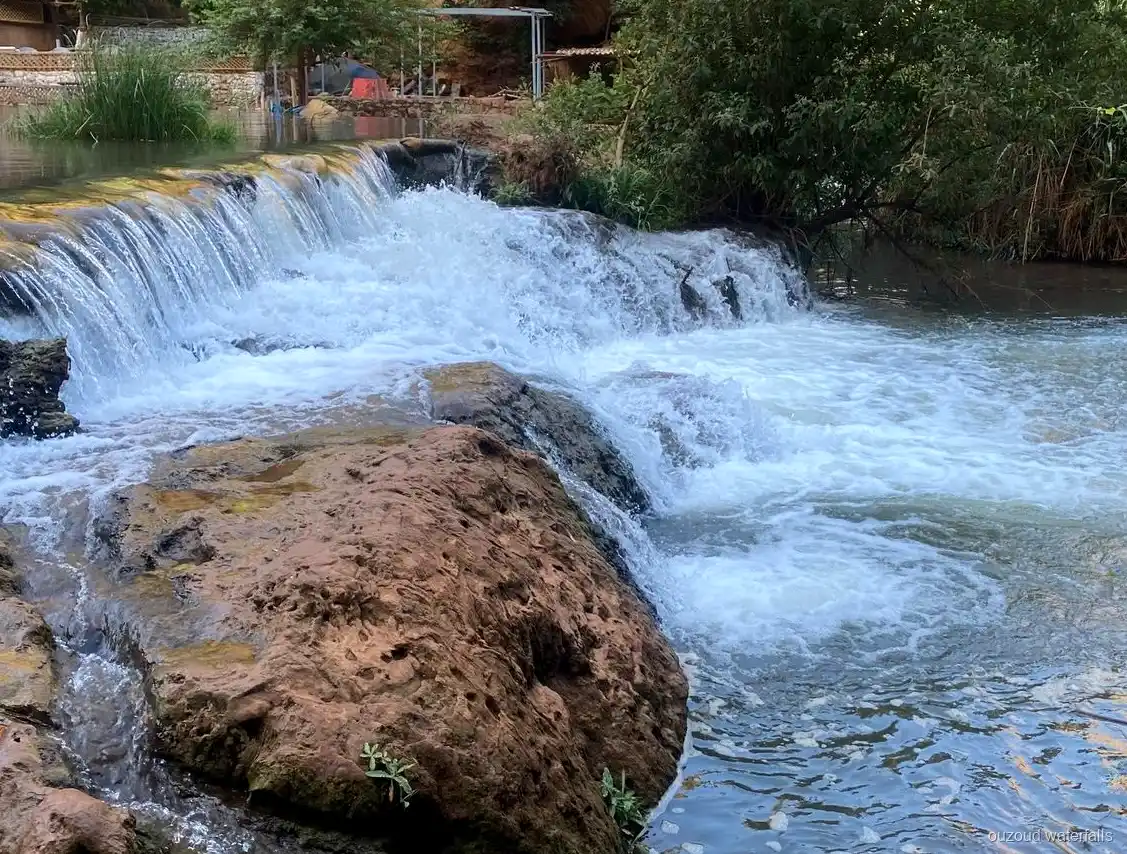 Sentiero tra uliveti visitato durante l'escursione privata di lusso alle Cascate di Ouzoud