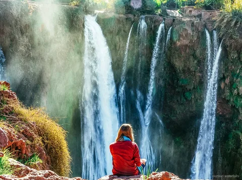 Macaque de Barbarie sauvage aperçu sur le sentier des Cascades d'Ouzoud