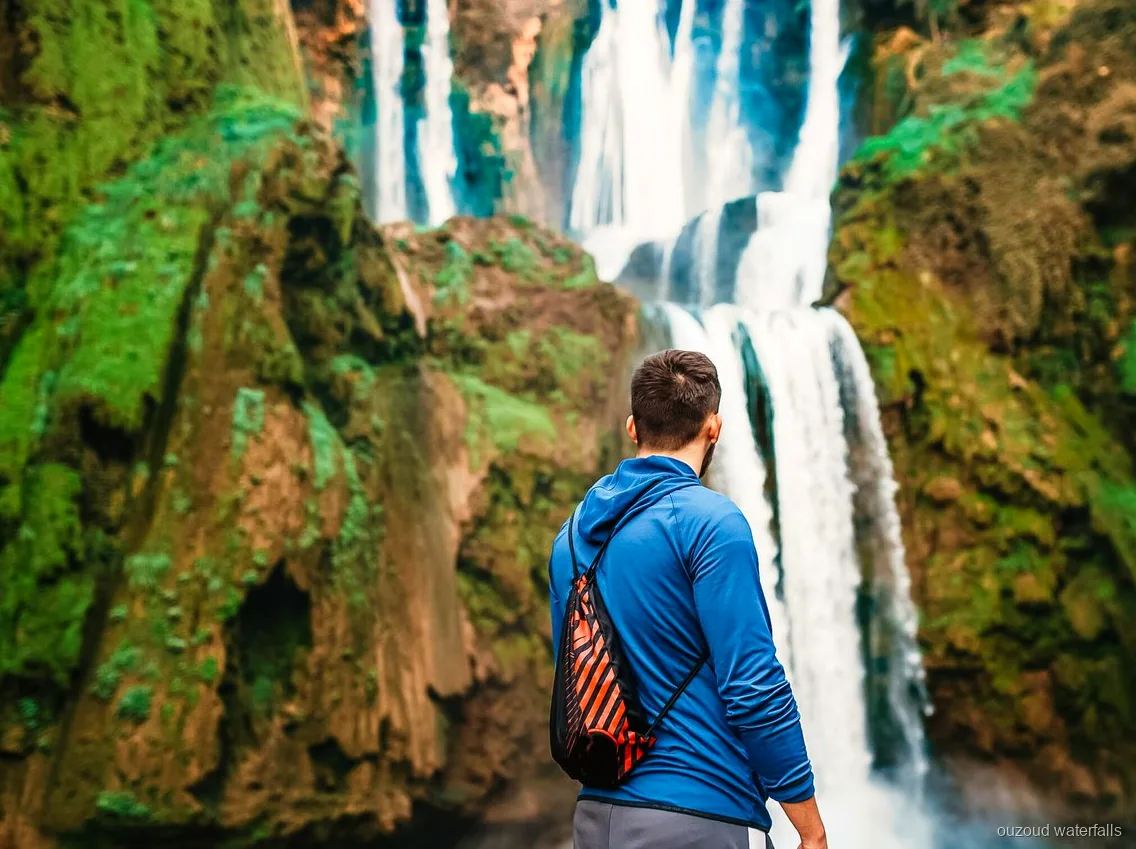 Sentier en oliveraie menant au point de vue des Cascades d'Ouzoud au Maroc