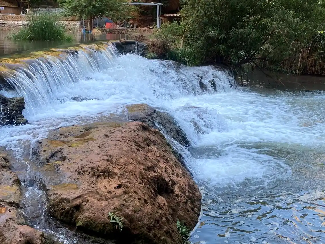 Sendero entre olivares visitado en la excursión privada de lujo a las Cascadas de Ouzoud