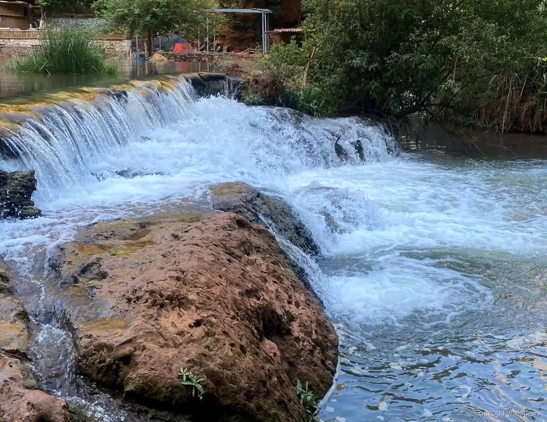 Chemin en oliveraie visité pendant l'excursion privée de luxe aux Cascades d'Ouzoud