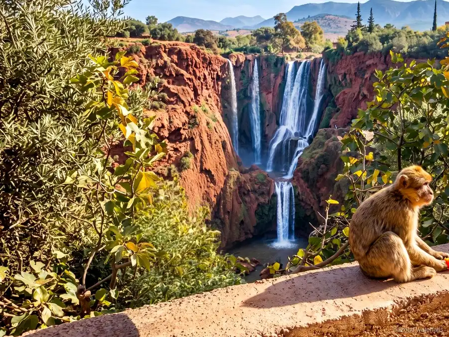 Panoramisch uitzicht over de Ouzoud Watervallen op de goedkope tour vanuit Marrakech