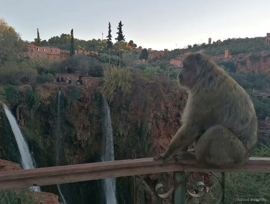 Kleine Gruppe wandert zu den Ouzoud Wasserfällen ab Marrakesch