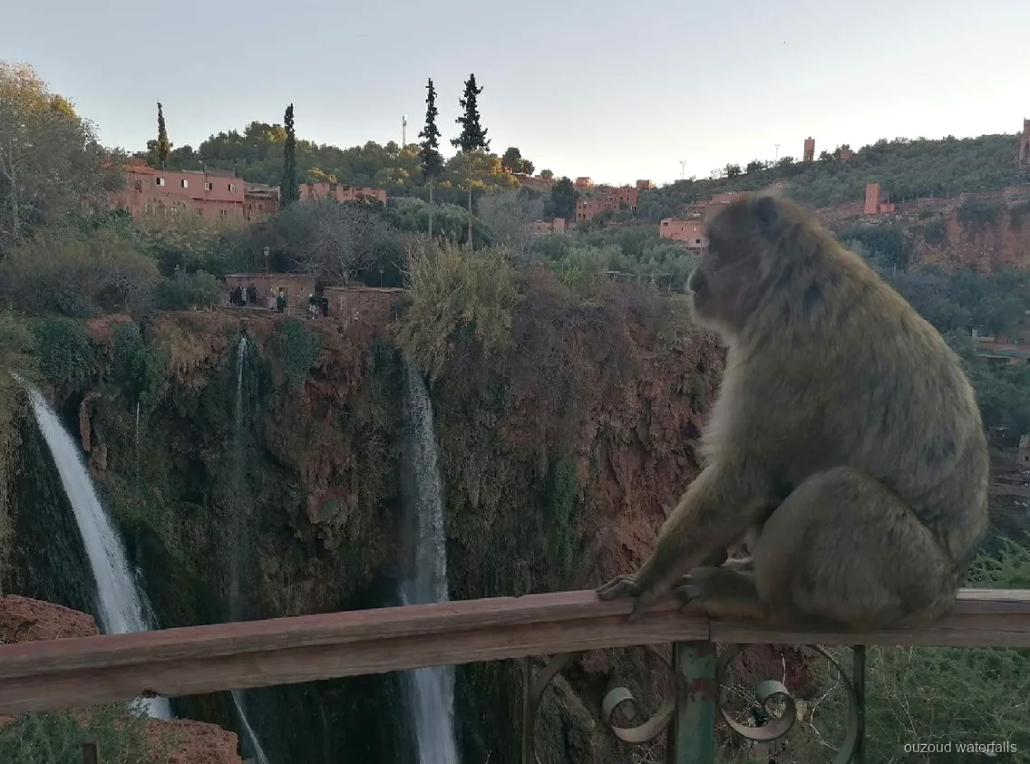 Kleine groep wandelt het pad naar de Ouzoud Watervallen vanuit Marrakech